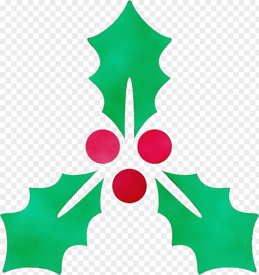Pine Green Holly PNG