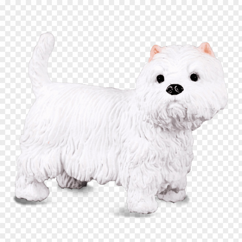 Puppy West Highland White Terrier Maltese Dog Yorkshire English Scottish PNG