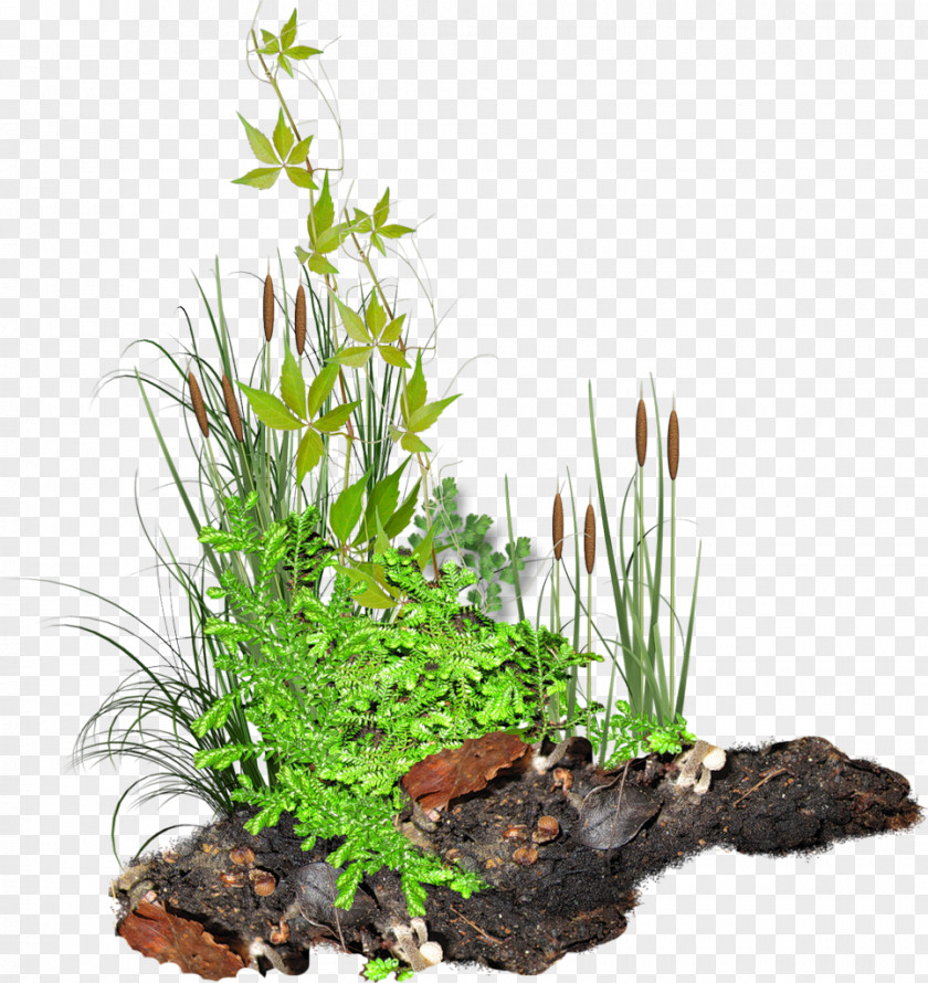 Soil Pattern Grass Clip Art PNG