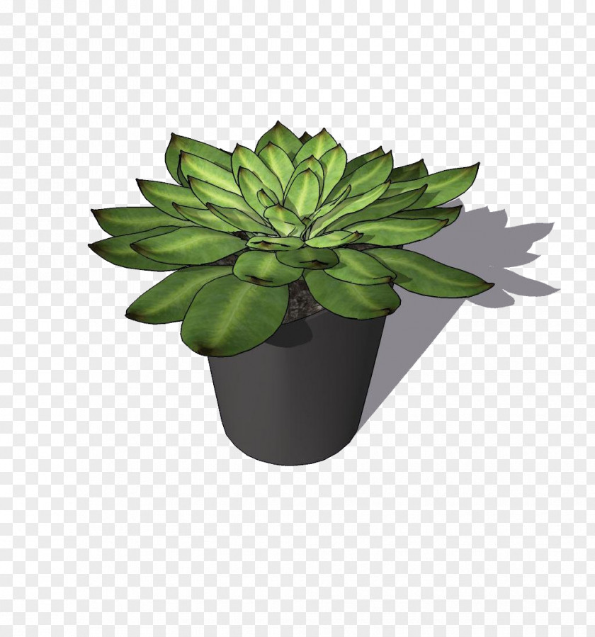 3D Pot Computer Graphics Flowerpot Plant PNG