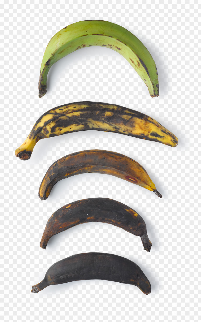 Banana Fried Plantain Cooking Keyword PNG