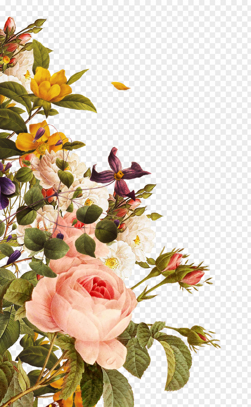 Creative Floral Border Wallpaper PNG