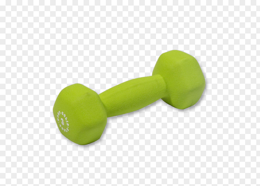 Fitness Model Dumbbell Barbell Exercise Physical Weight PNG