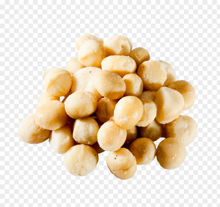 Natural 100 Macadamia Nut PNG
