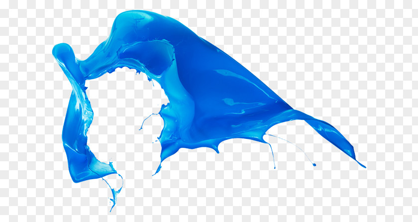 Paint Splash Royalty-free Stock Photography PNG