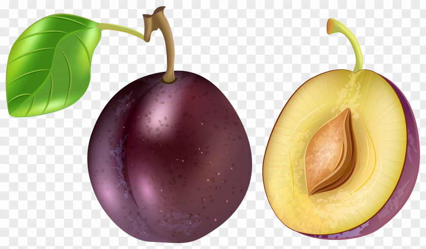 Plum Fruit Clip Art PNG