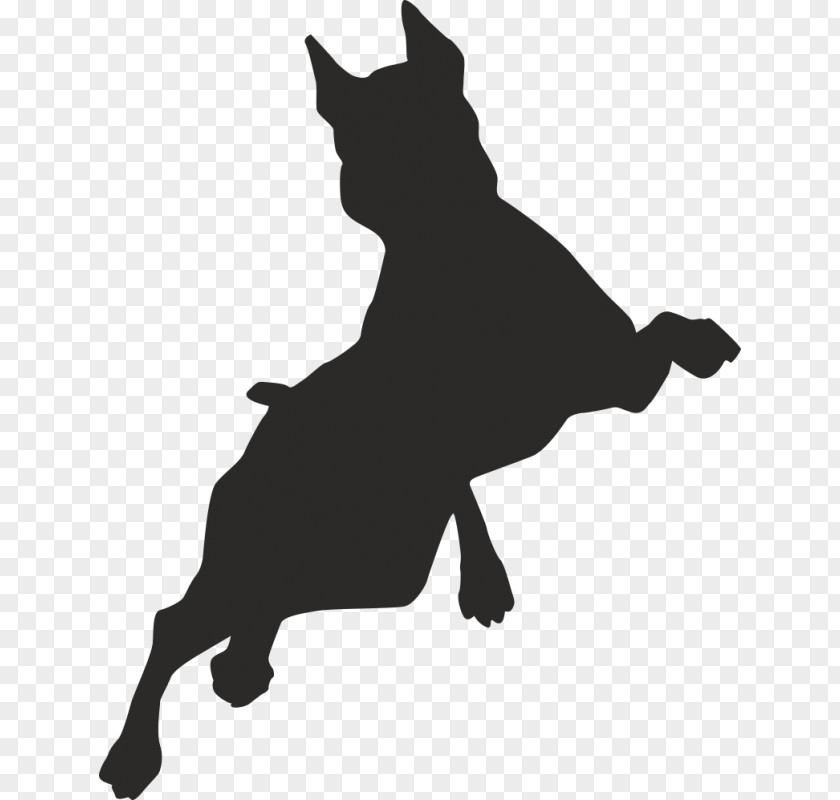 Puppy Border Collie Free Jumping Clip Art PNG