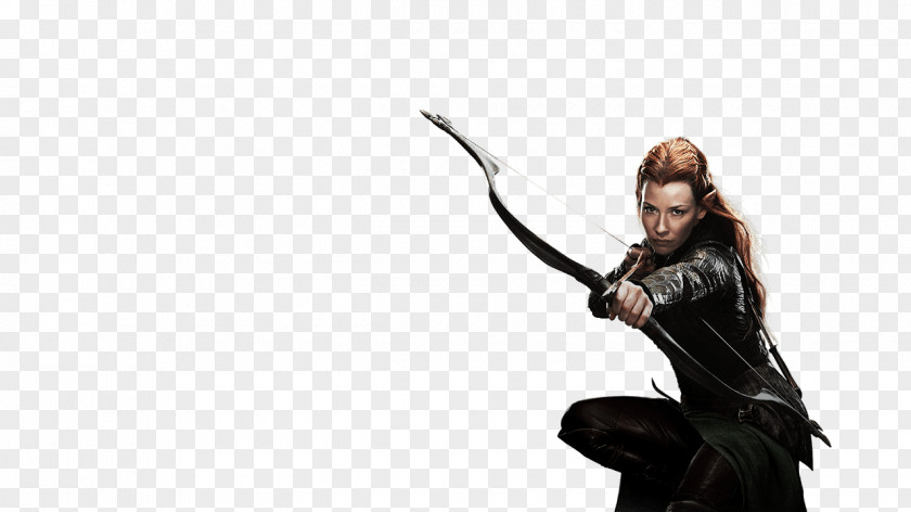 The Hobbit Tauriel Wasp Quicksilver Character PNG