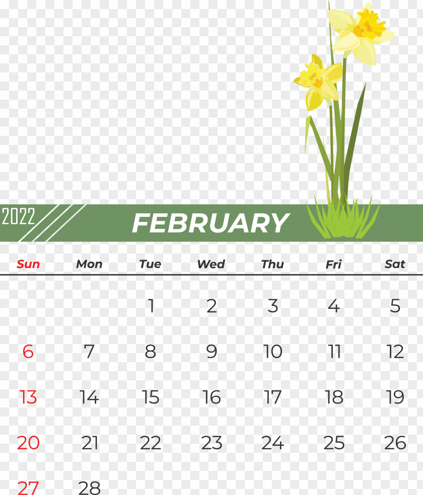 Flower Line Calendar Font Yellow PNG