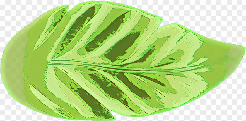 Leaf Green Plant Flower Monstera Deliciosa PNG