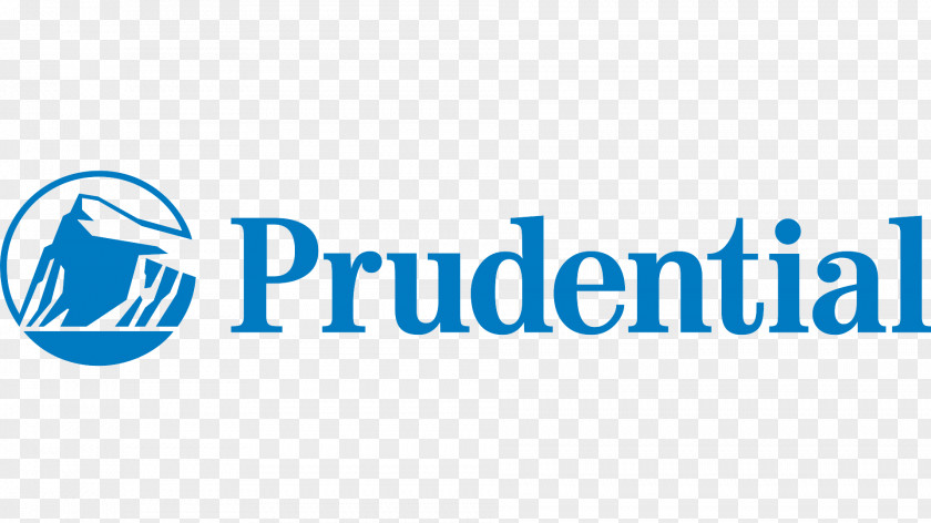 Term Life Insurance Prudential Financial MetLife PNG