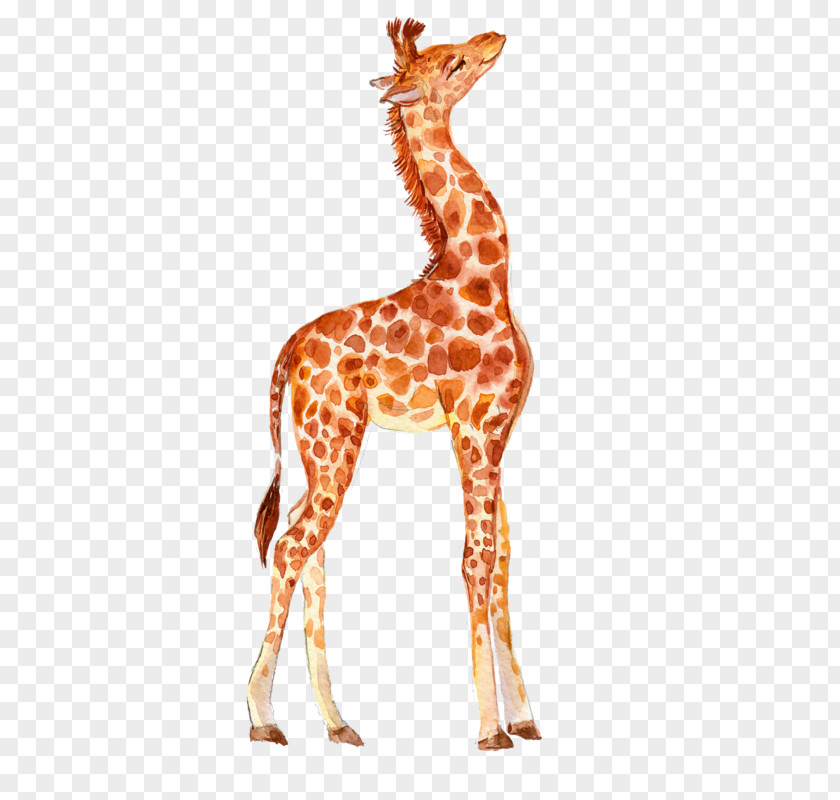 Watercolor Animals Giraffe Image Design Vector Graphics PNG