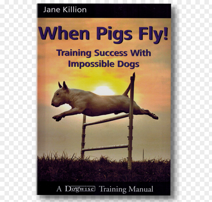 Belt Massage When Pigs Fly! Training Success With Impossible Dogs Amazon.com Do Over Dogs: Give Your Dog A Second Chance For First Class Life PNG