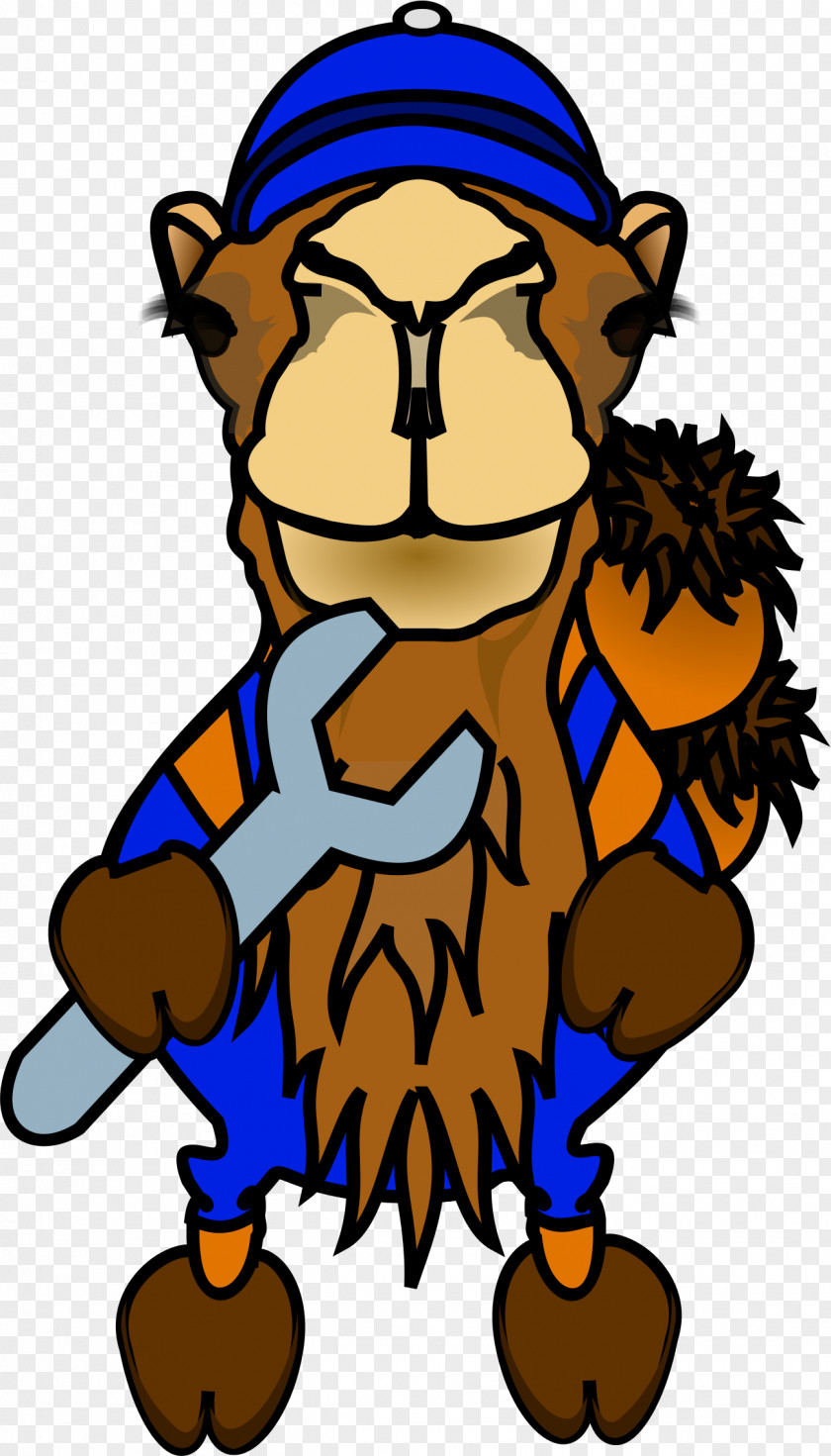 Camel Comics Photography Clip Art PNG