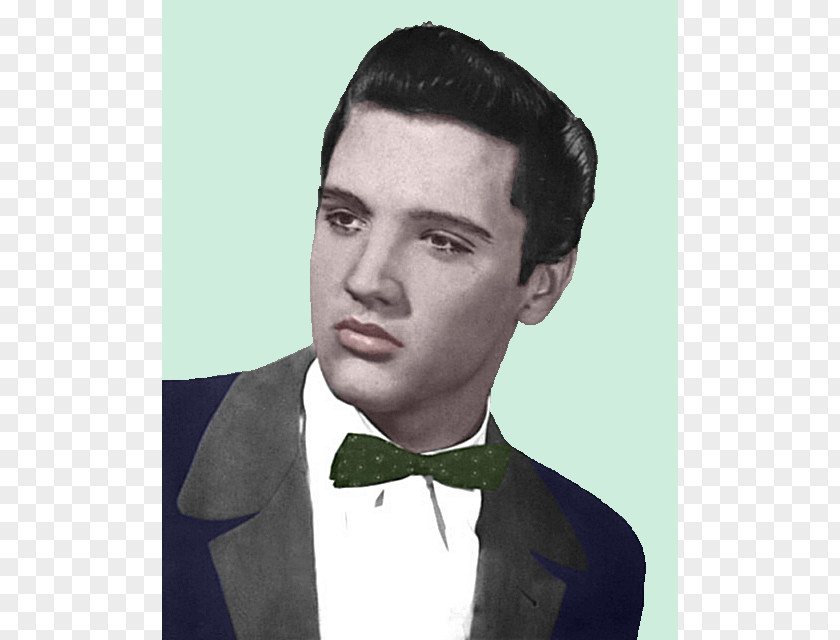 Elvis Presley Hit Single Summer Actor PNG