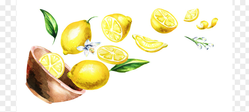 Yellow Lemon Fruit Citrus Natural Foods PNG