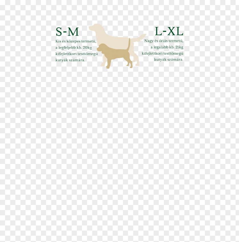 Dog Product Design Brand Font PNG