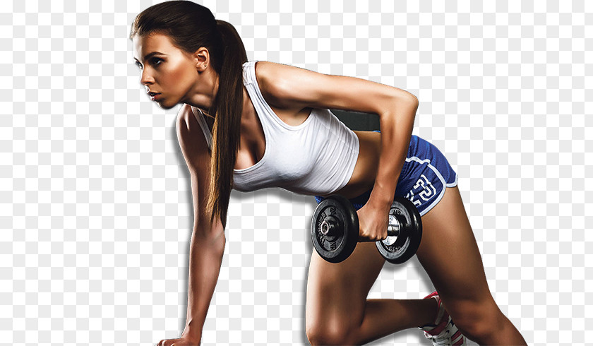 Fitness Clipart Exercise Physical Centre Personal Trainer PNG