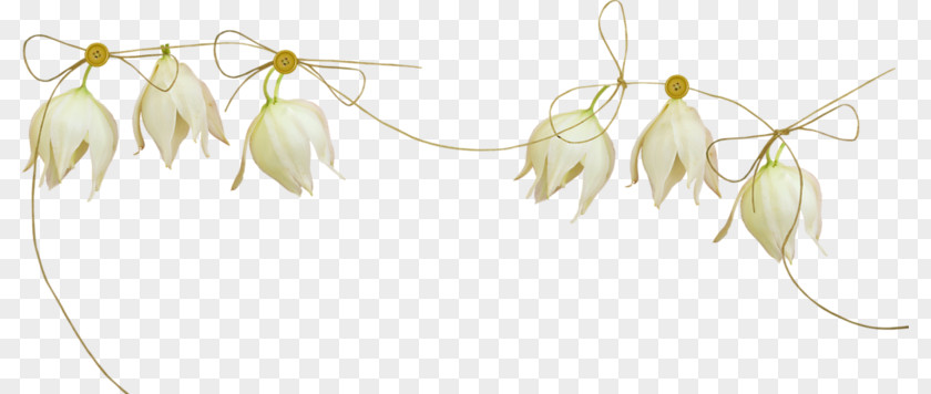 Wedding Decorative Flower .de Plant Stem REC Clip Art PNG