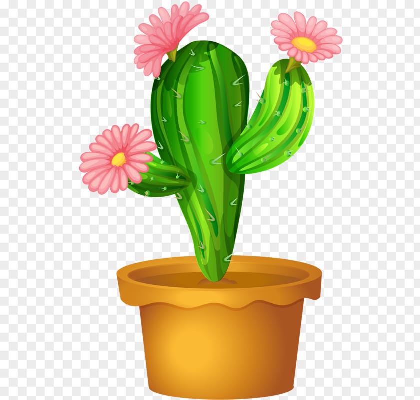 Cactus Flowers Cactaceae Plant Clip Art PNG