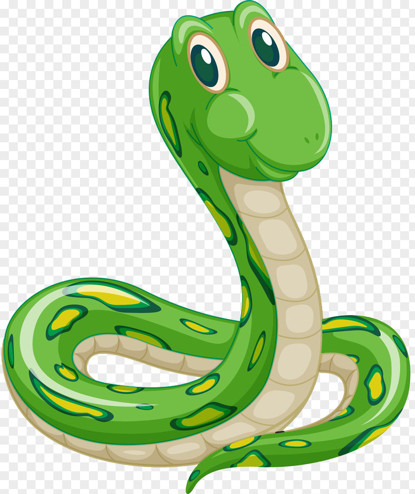 Green Snake Cartoon Illustration PNG