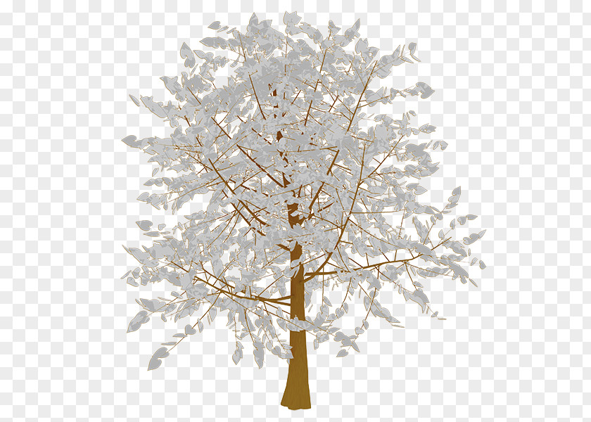 Heart Tree Branch Twig PNG