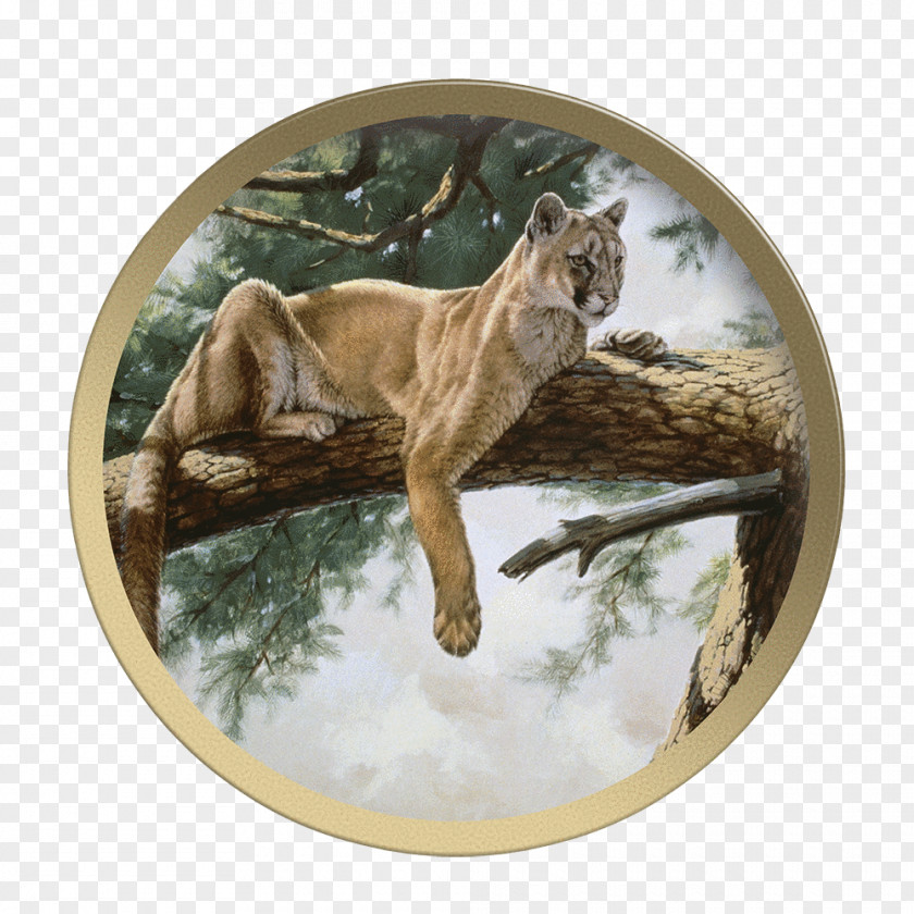 Lion Cougar Rocky Mountain Guy Coheleach's Animal Art Plate PNG