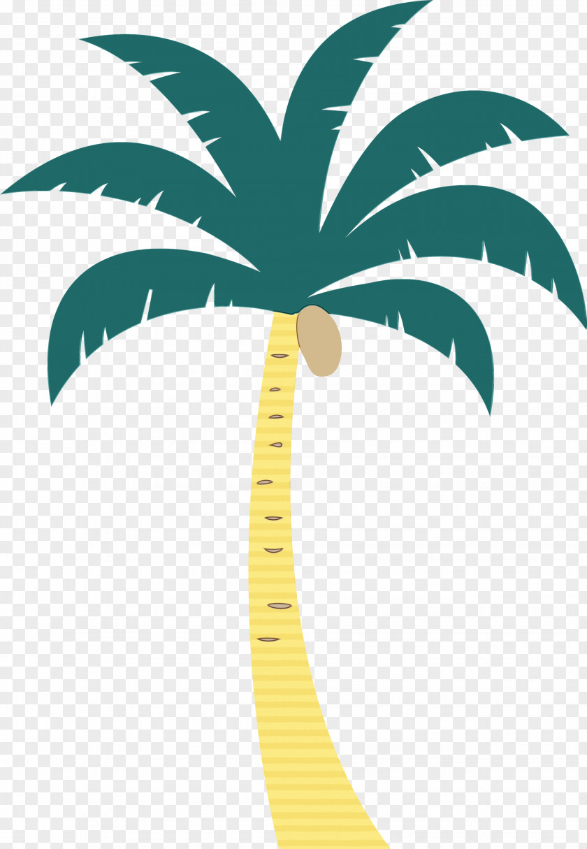 Palm Trees PNG