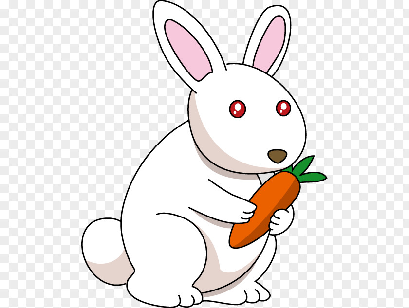 Rabbit Domestic Hare Illustration Easter Bunny PNG