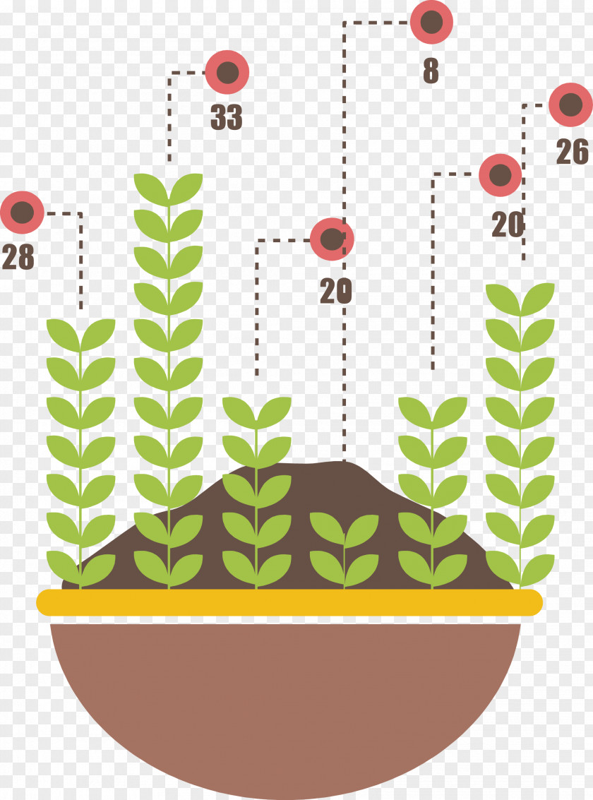 Vector Saplings Column Chart Bar Download Illustration PNG