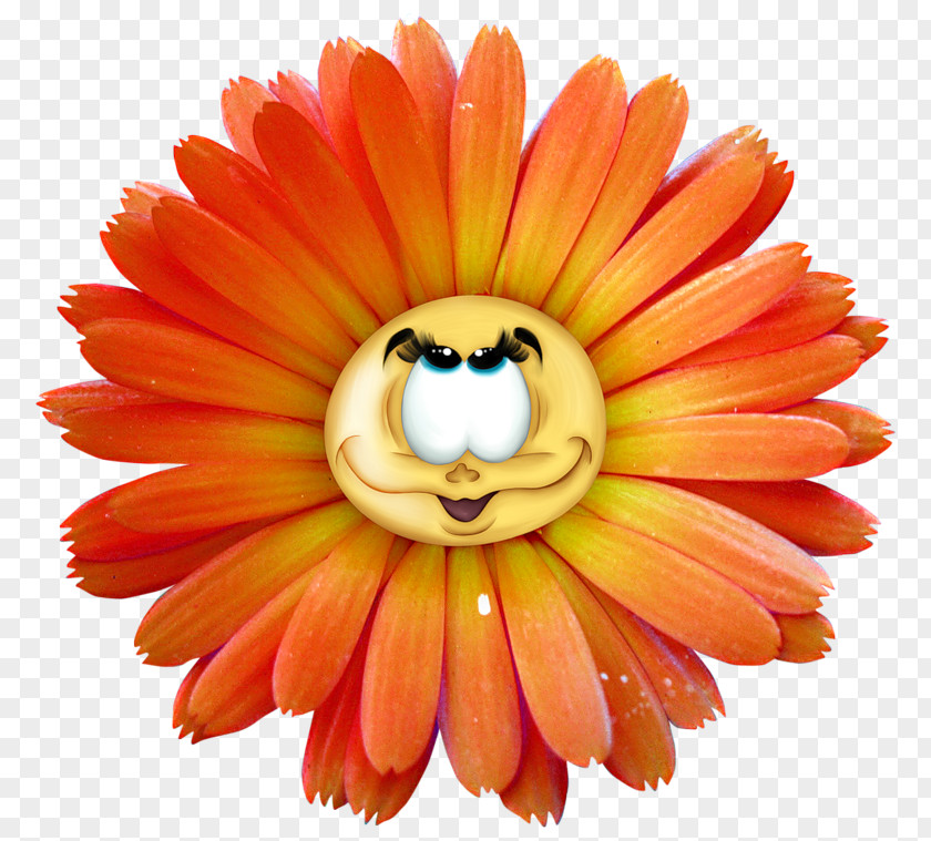 Cute Cartoon Chrysanthemum Yellow Flower Clip Art PNG