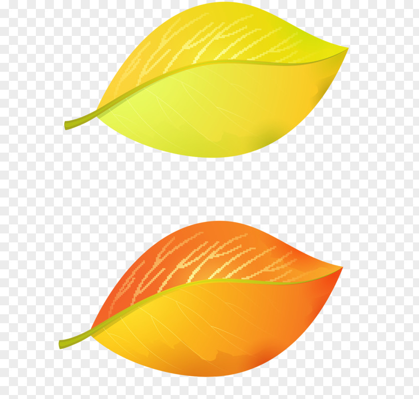 Design Line Leaf PNG