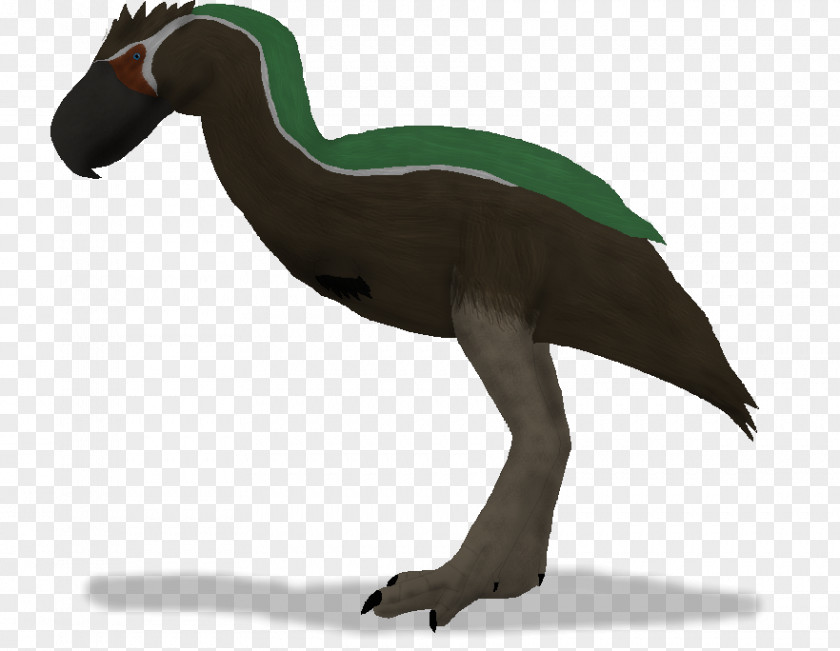 One Thousand Two Hundred And Twelve Anatidae Velociraptor Goose Cygnini Duck PNG