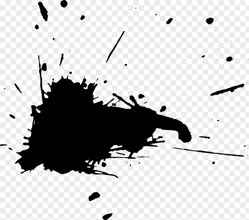 Paint Splatter Black And White Photography Film PNG