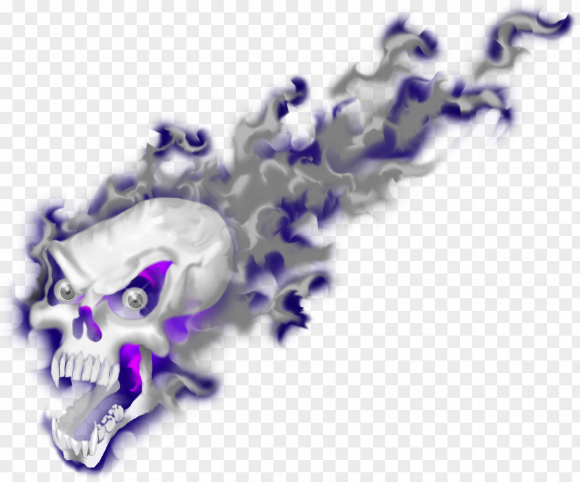 Skull Flame VKontakte User Profile PNG