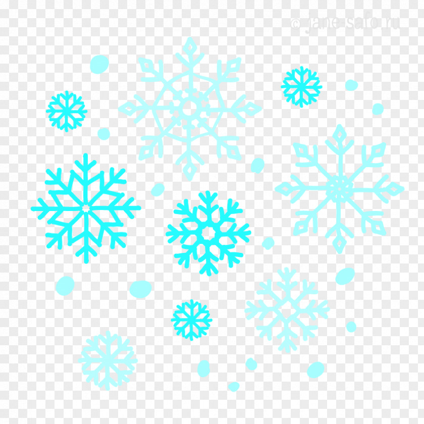 Snowflake Raster Graphics PNG