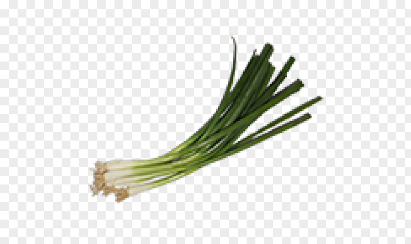 Hydro Allium Fistulosum Onion Scallion Vegetable Insecticide PNG