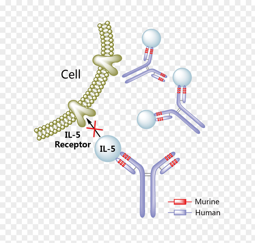 Interleukin 5 Reslizumab Adalimumab Monoclonal Antibody Pharmaceutical Drug PNG