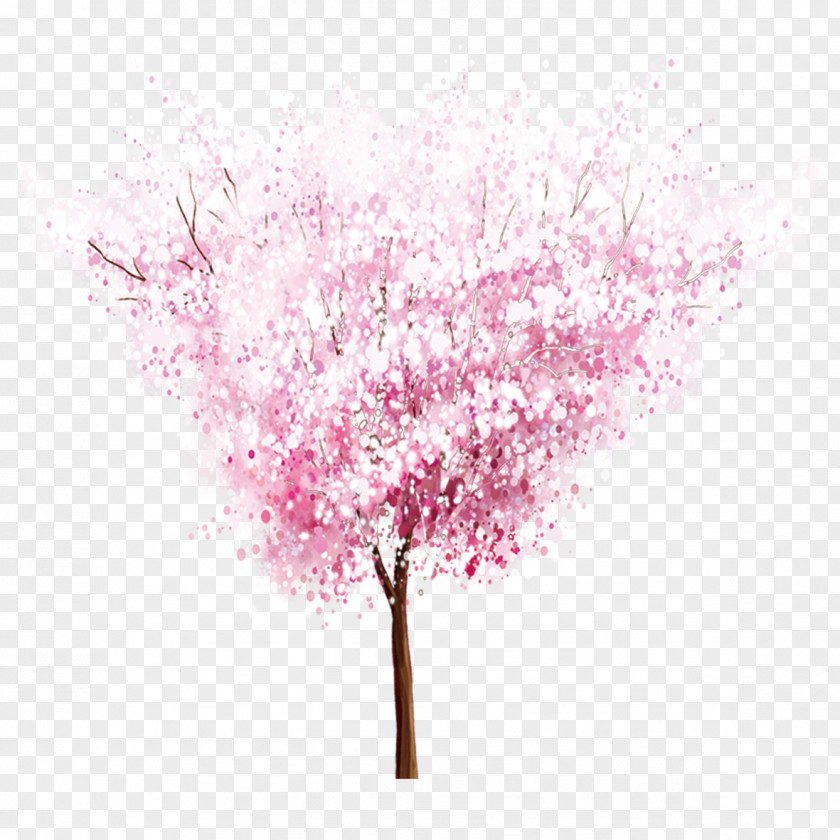 Peach Tree Petals Cherry Blossom Petal PNG