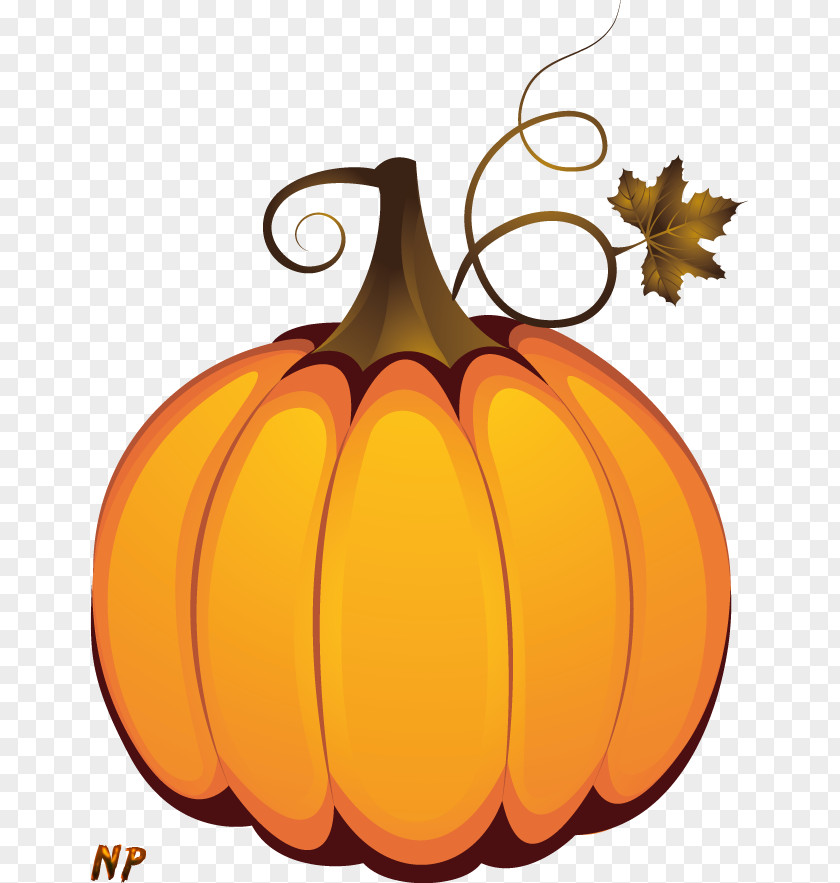 Pumpkin Jack-o'-lantern Calabaza Winter Squash Halloween PNG