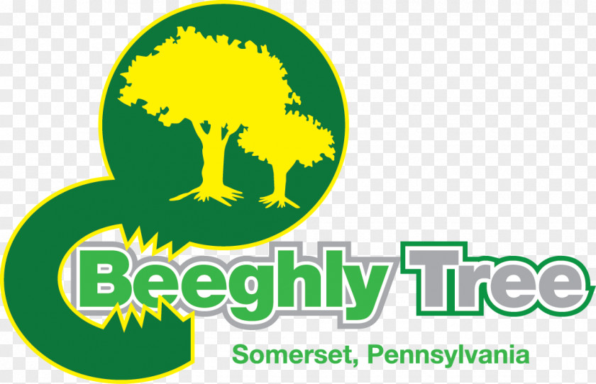Tree Beeghly Service LLC Somerset Hillvale Road PNG