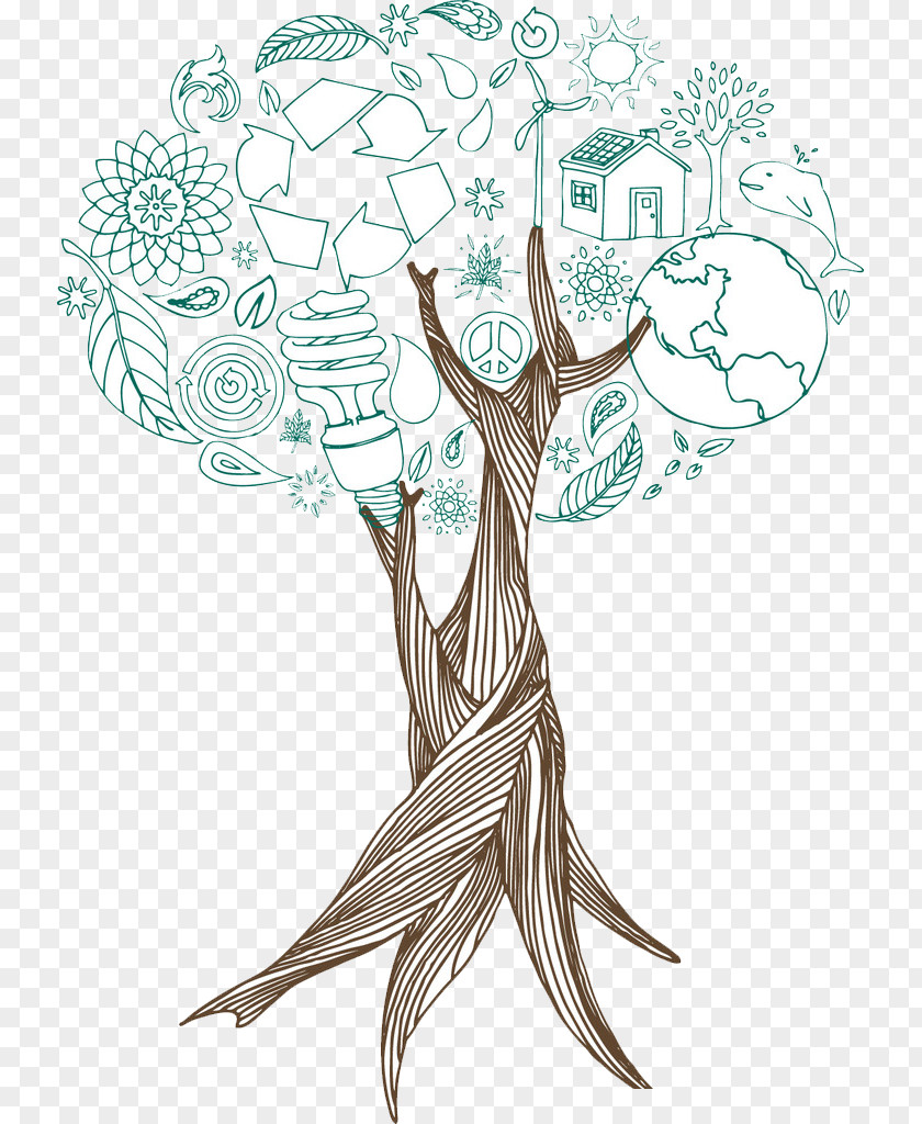 Tree Drawing Illustration PNG