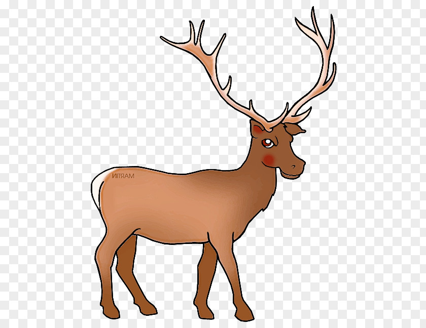Wildlife Horn Reindeer PNG