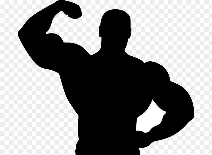 Bodybuilding Fitness Centre Silhouette PNG