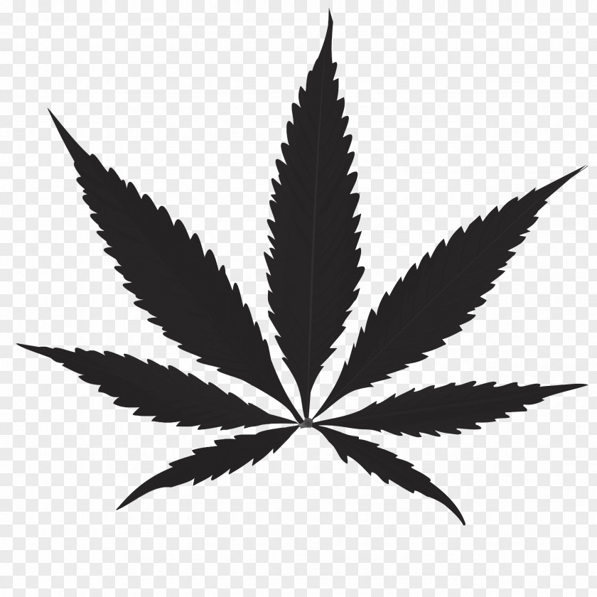 Cannabis Medical Joint PNG
