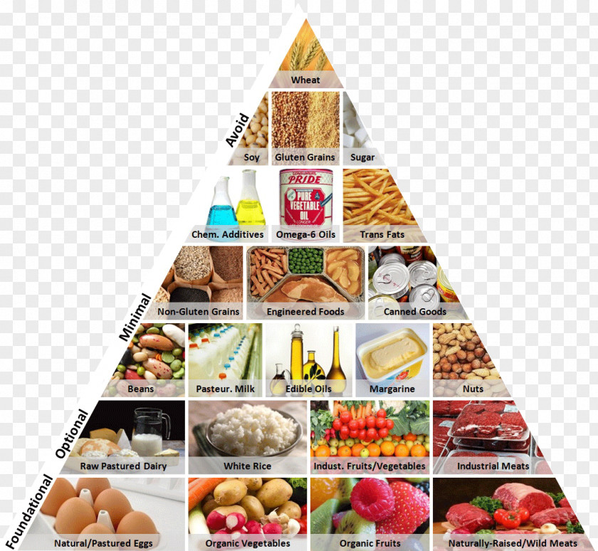 Food Pyramid Group Health Western Pattern Diet PNG