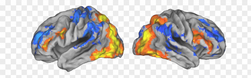 Brain Helen Wills Neuroscience Institute Neurotechnology Research Centers And Laboratories At The University Of California, Berkeley PNG