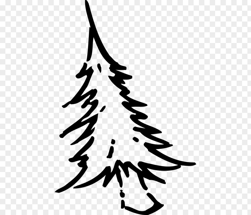 Christmas Drawing Tree PNG