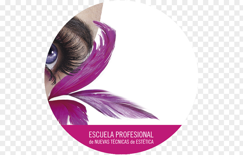 Depil Sheir Bayan Kuaförü Beauty Parlour Desktop Wallpaper Cosmetics Eyelash Extensions PNG