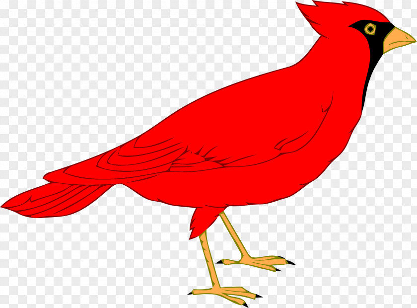 Northern Cardinal Clip Art PNG
